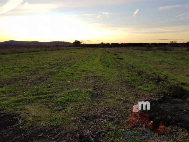 For sale of land in Almoharín