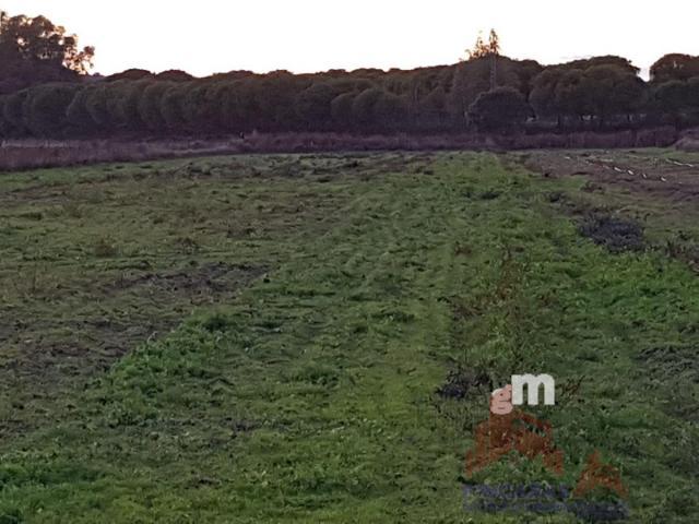 Venta de terreno en Almoharín