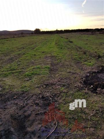 For sale of land in Almoharín