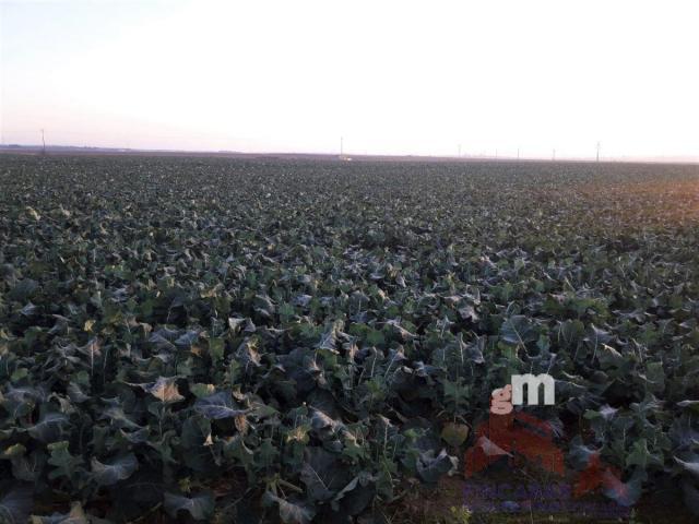 Venta de terreno en Mengabril