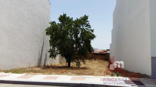 For sale of land in Quintana de la Serena