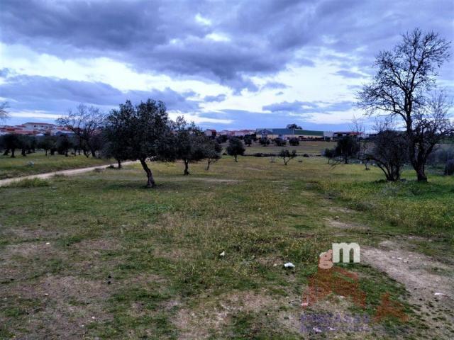 For sale of land in Quintana de la Serena