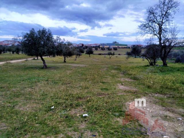 For sale of land in Quintana de la Serena