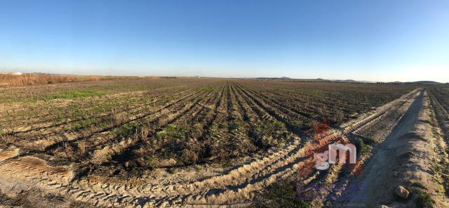 Terreno en venta en Valdehornillos, Santa Amalia