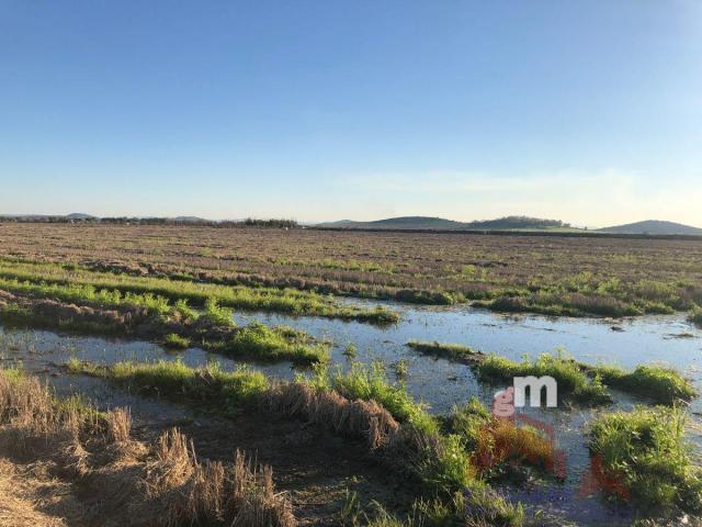 Venta de terreno en Santa Amalia