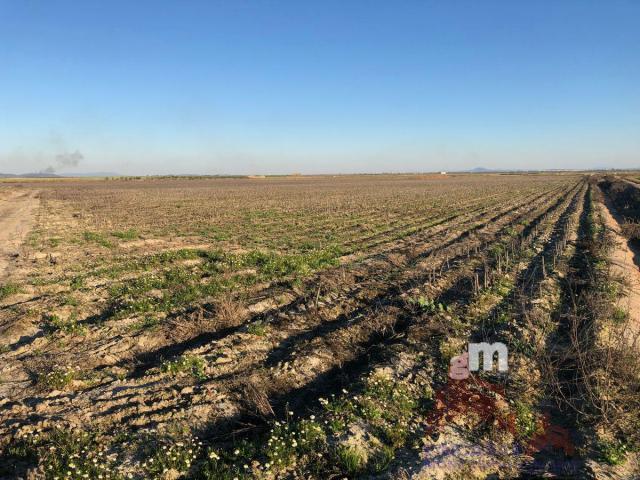 Venta de terreno en Santa Amalia