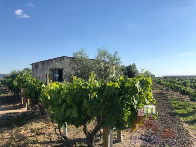 Venta de terreno en Santa Amalia