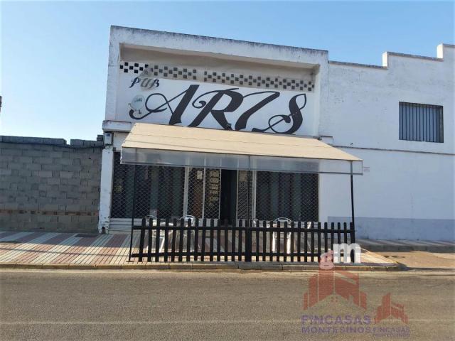 Venta de local comercial en Santa Amalia