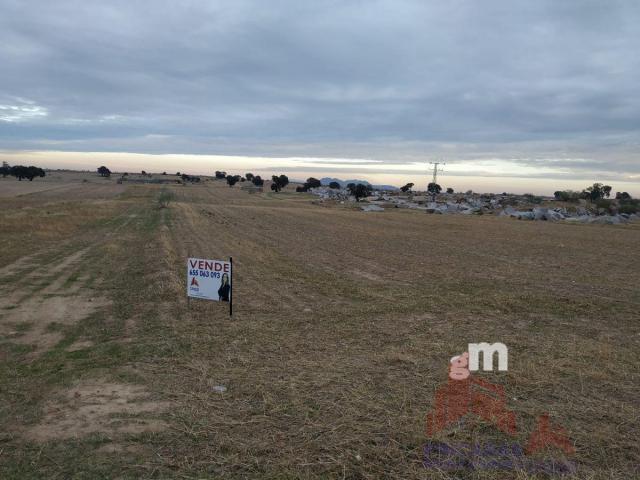 Venta de terreno en Quintana de la Serena