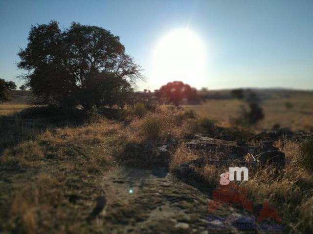 Venta de terreno en Quintana de la Serena