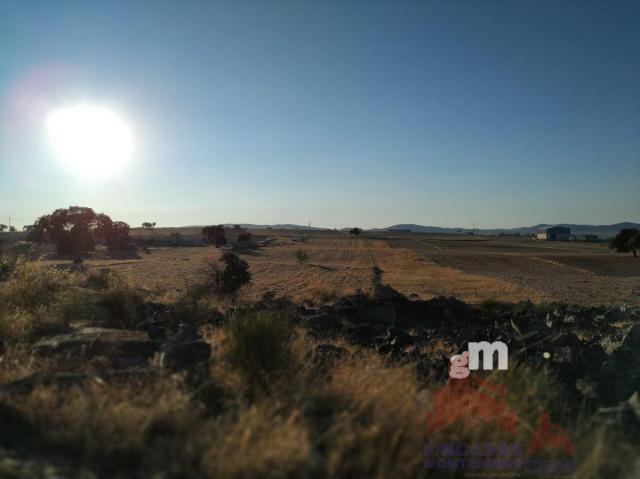 Venta de terreno en Quintana de la Serena