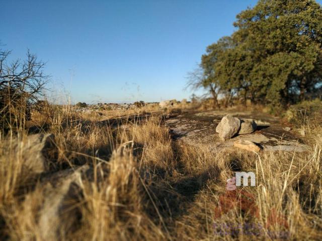 Venta de terreno en Quintana de la Serena