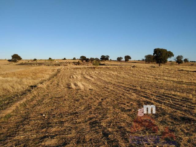 For sale of land in Quintana de la Serena