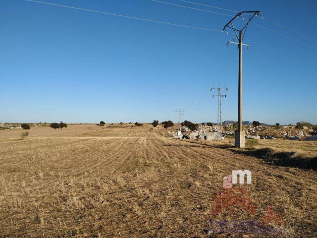 For sale of land in Quintana de la Serena