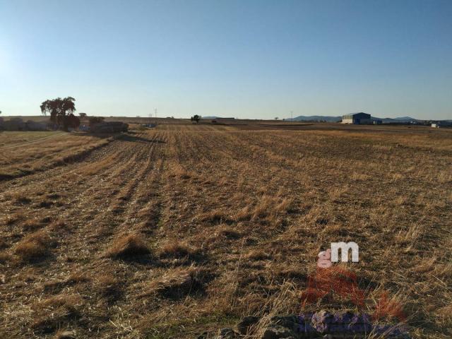 For sale of land in Quintana de la Serena