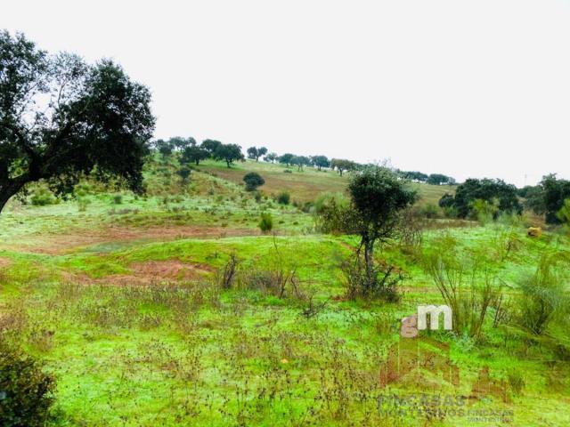 For sale of land in Mérida