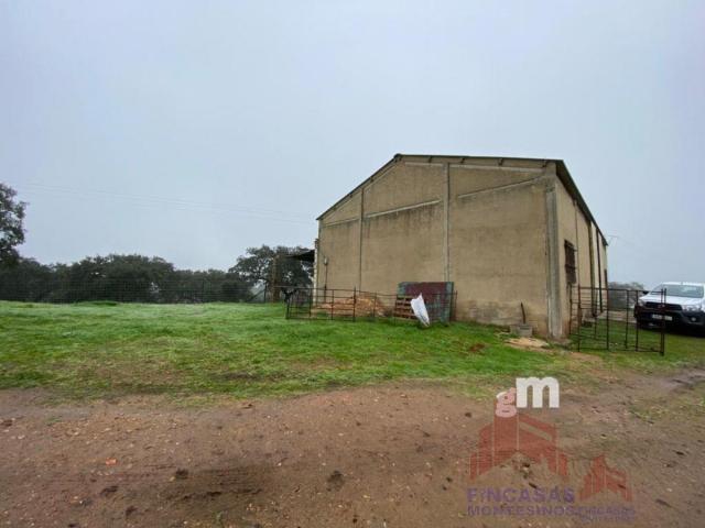 Venta de terreno en Mérida