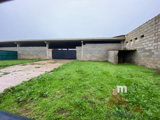 For sale of land in Mérida