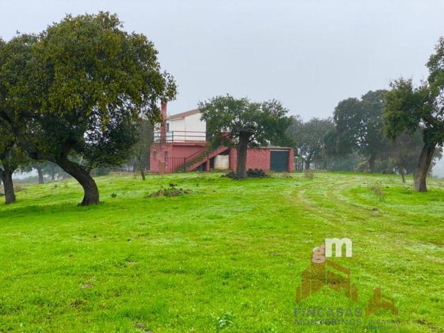 Venta de terreno en Mérida