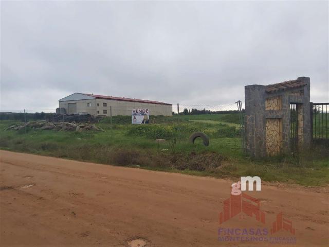 For sale of industrial plant/warehouse in Guareña