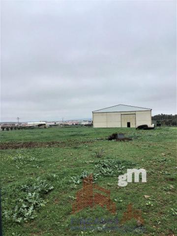 Venta de nave industrial en Guareña