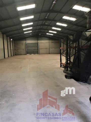 For sale of industrial plant/warehouse in Guareña