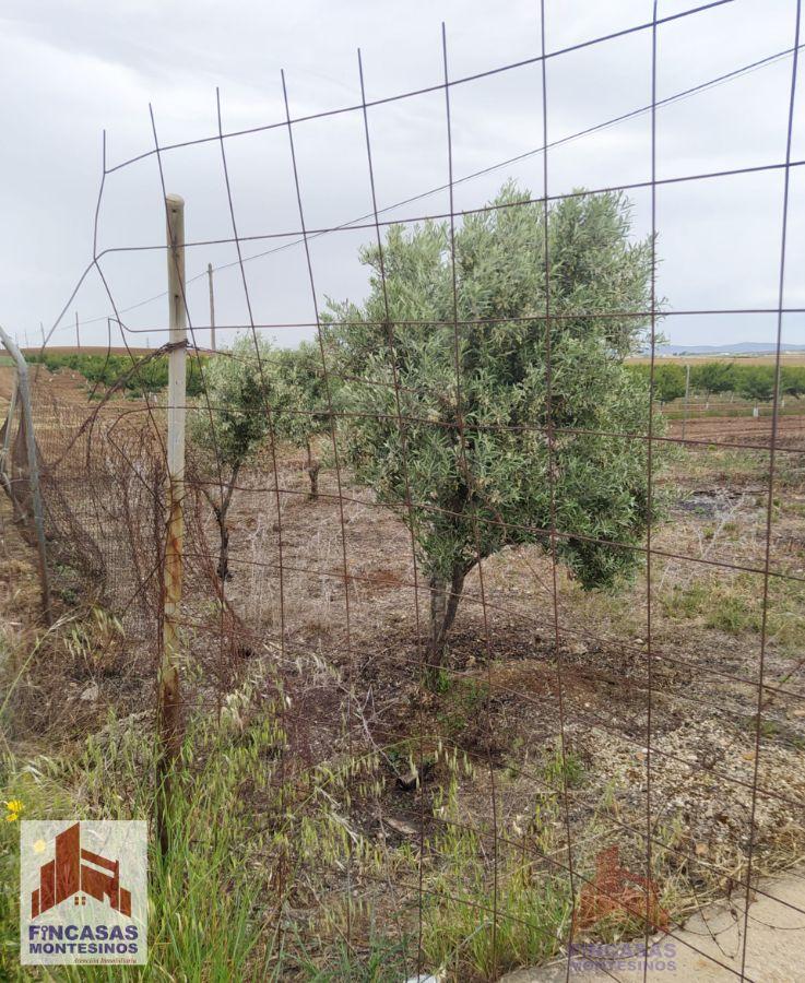 Venta de terreno en Don Benito