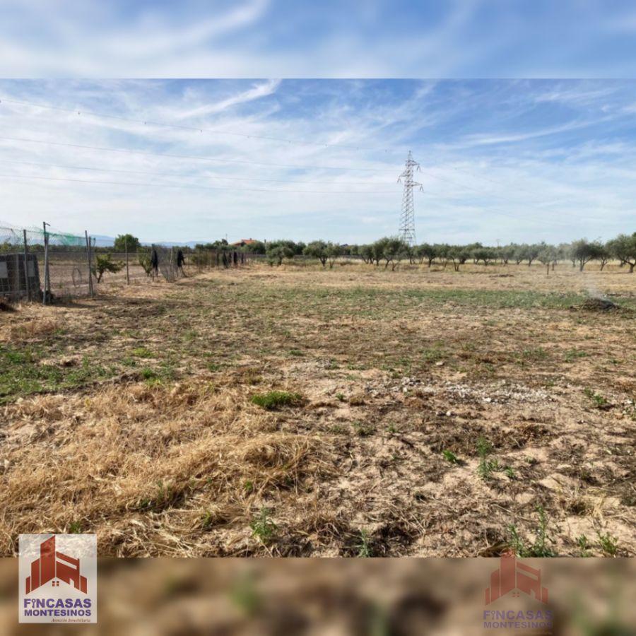 For sale of land in Villanueva de la Serena