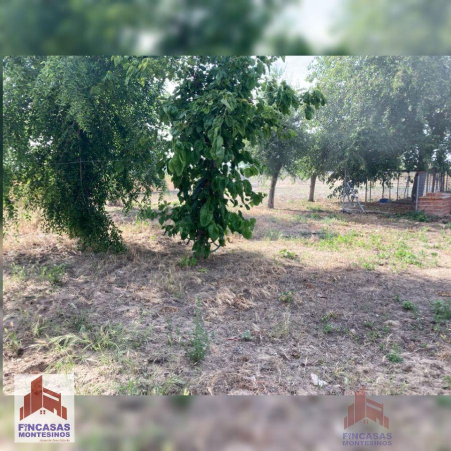 For sale of land in Villanueva de la Serena