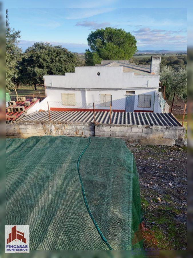 Venta de chalet en Santa Amalia