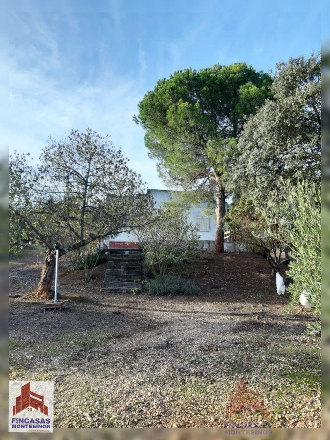 Venta de chalet en Santa Amalia