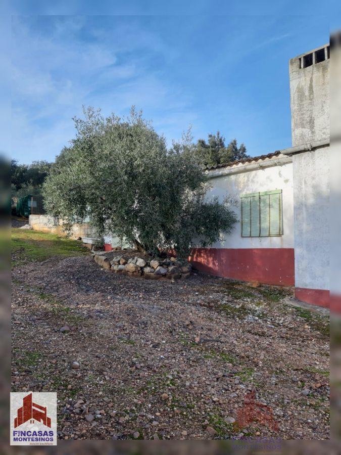 Venta de chalet en Santa Amalia