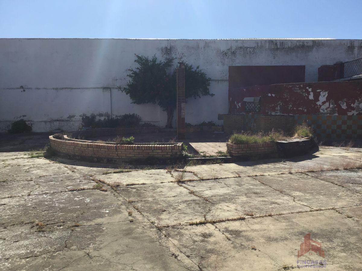 For sale of commercial in Santa Amalia