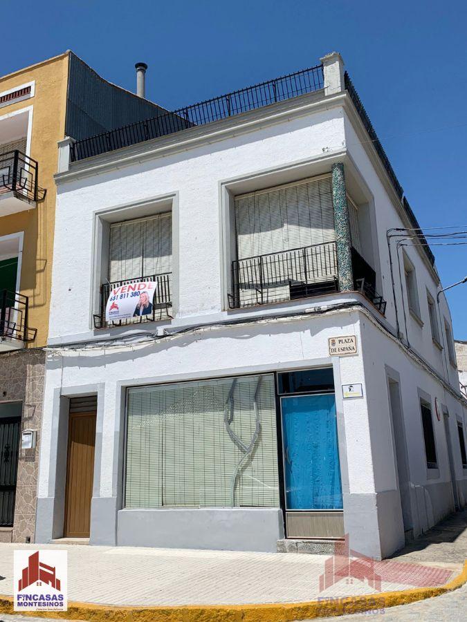 Venta de casa en Santa Amalia