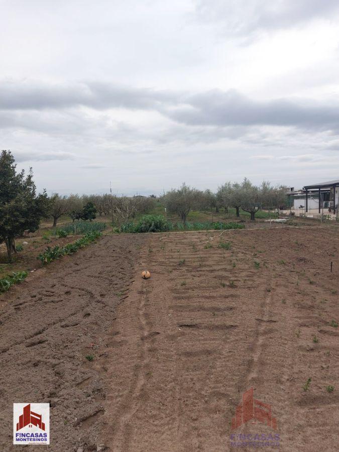 Venta de terreno en Santa Amalia