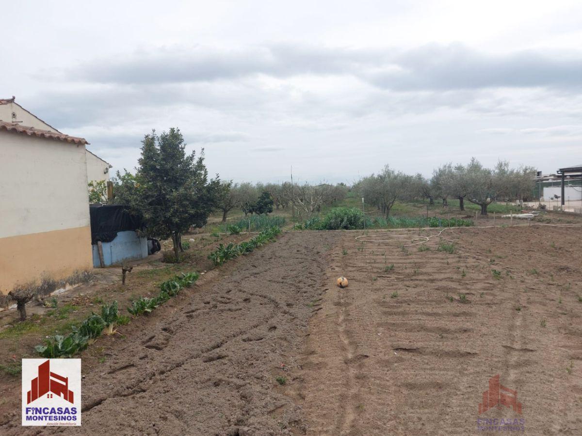 For sale of land in Santa Amalia