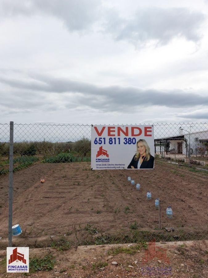 For sale of land in Santa Amalia