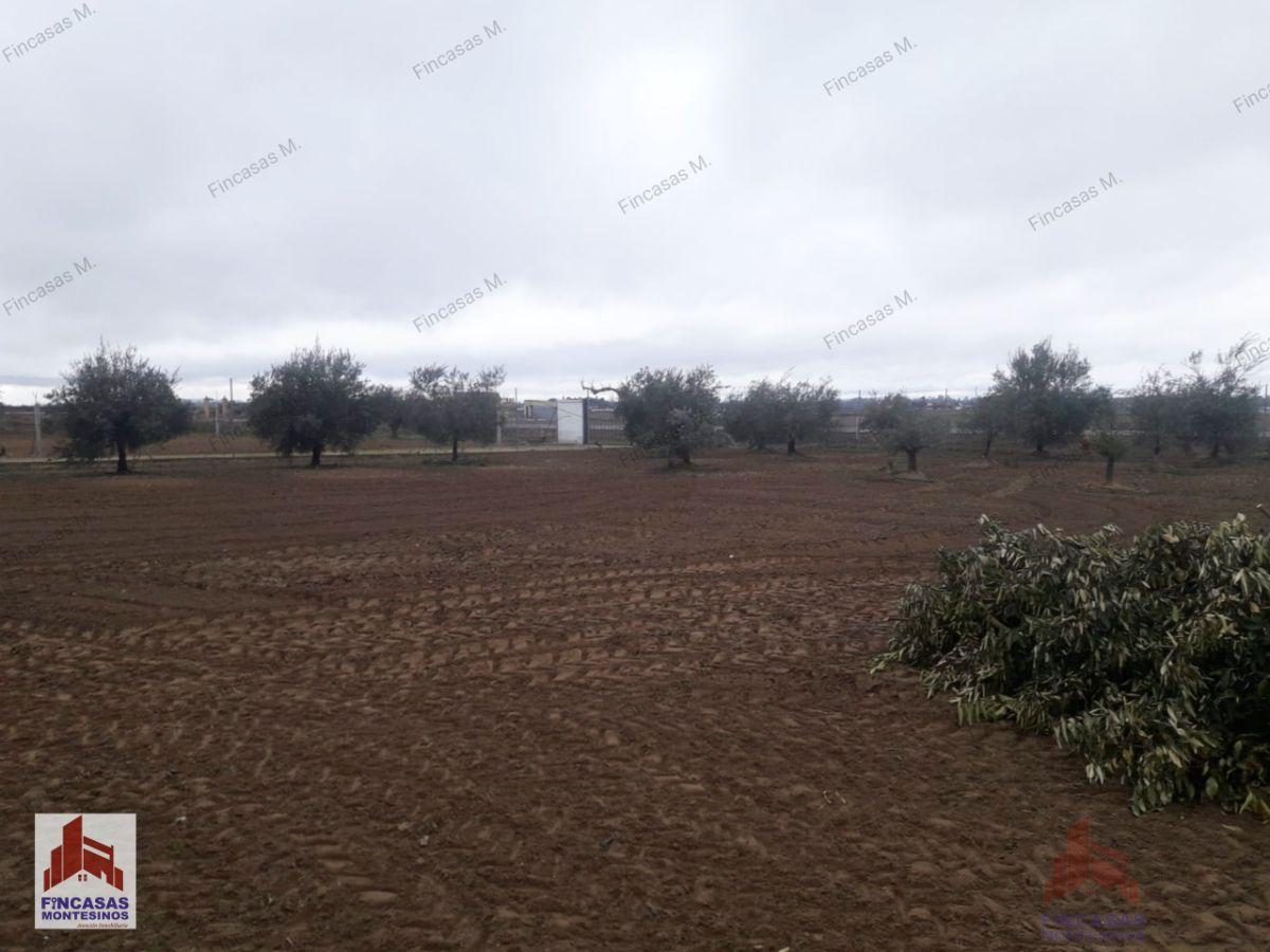 For sale of land in Don Benito