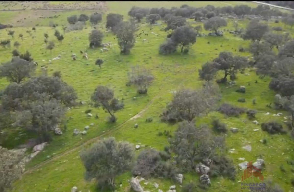 Venta de terreno en Santa Amalia