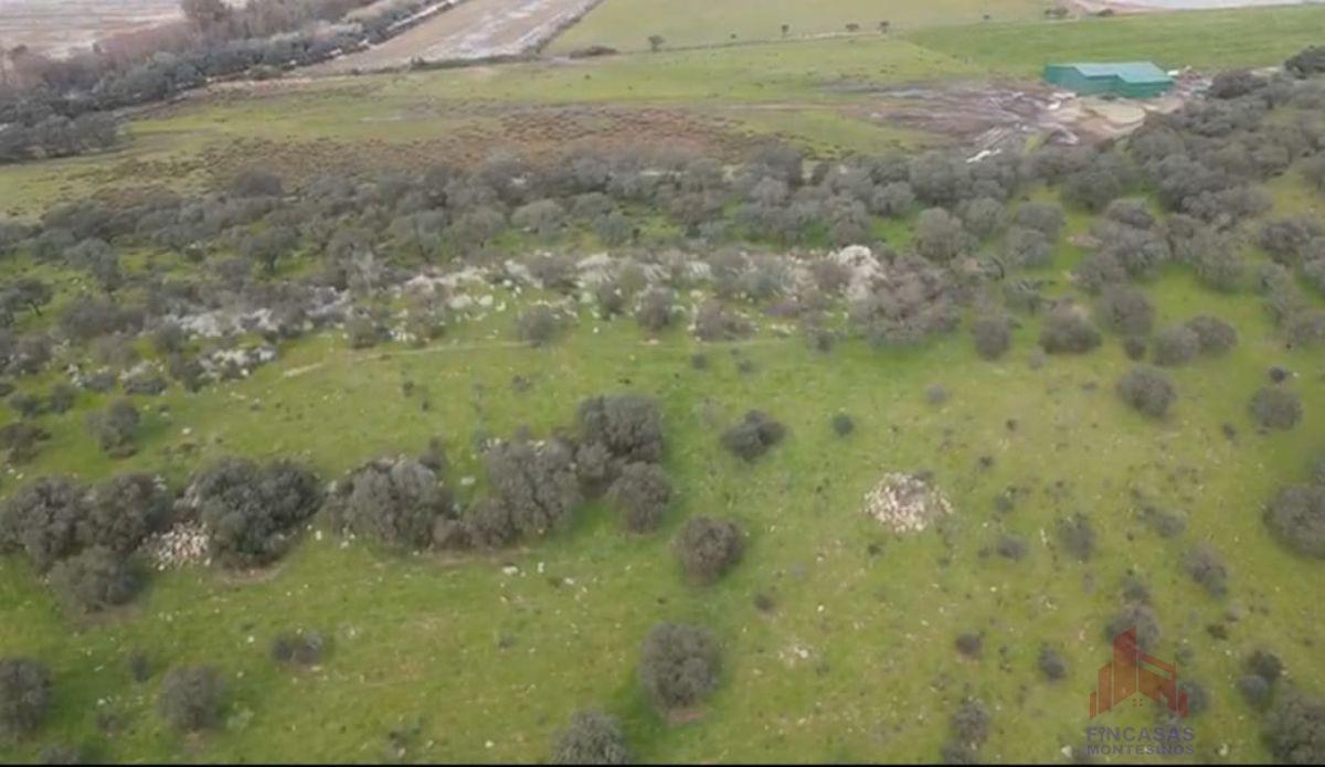 For sale of land in Santa Amalia