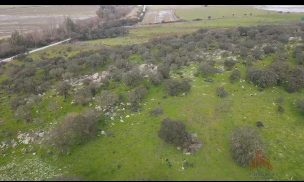 Venta de terreno en Santa Amalia