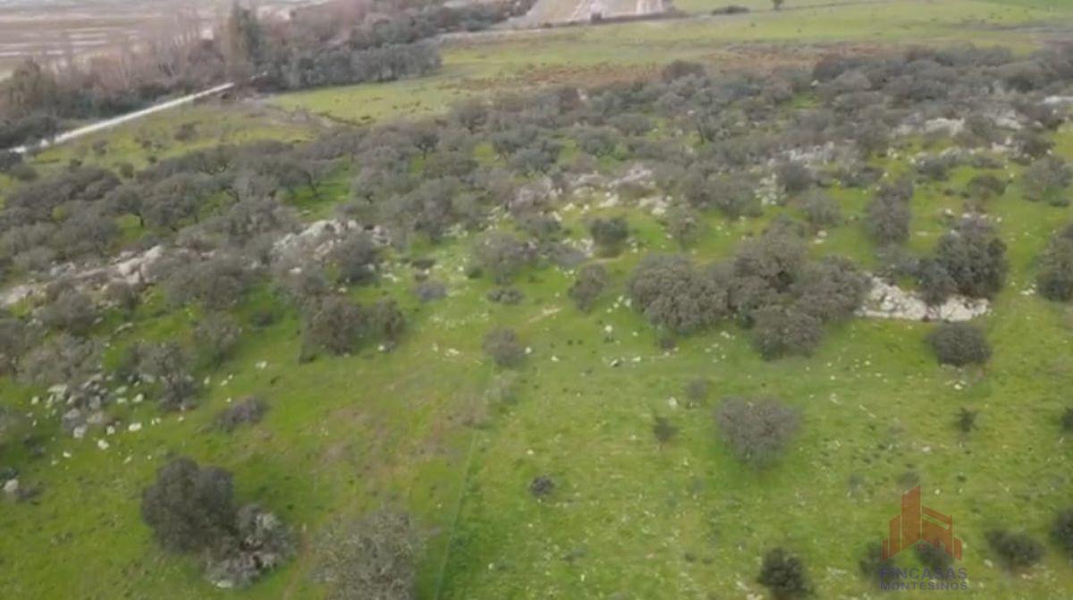 For sale of land in Santa Amalia