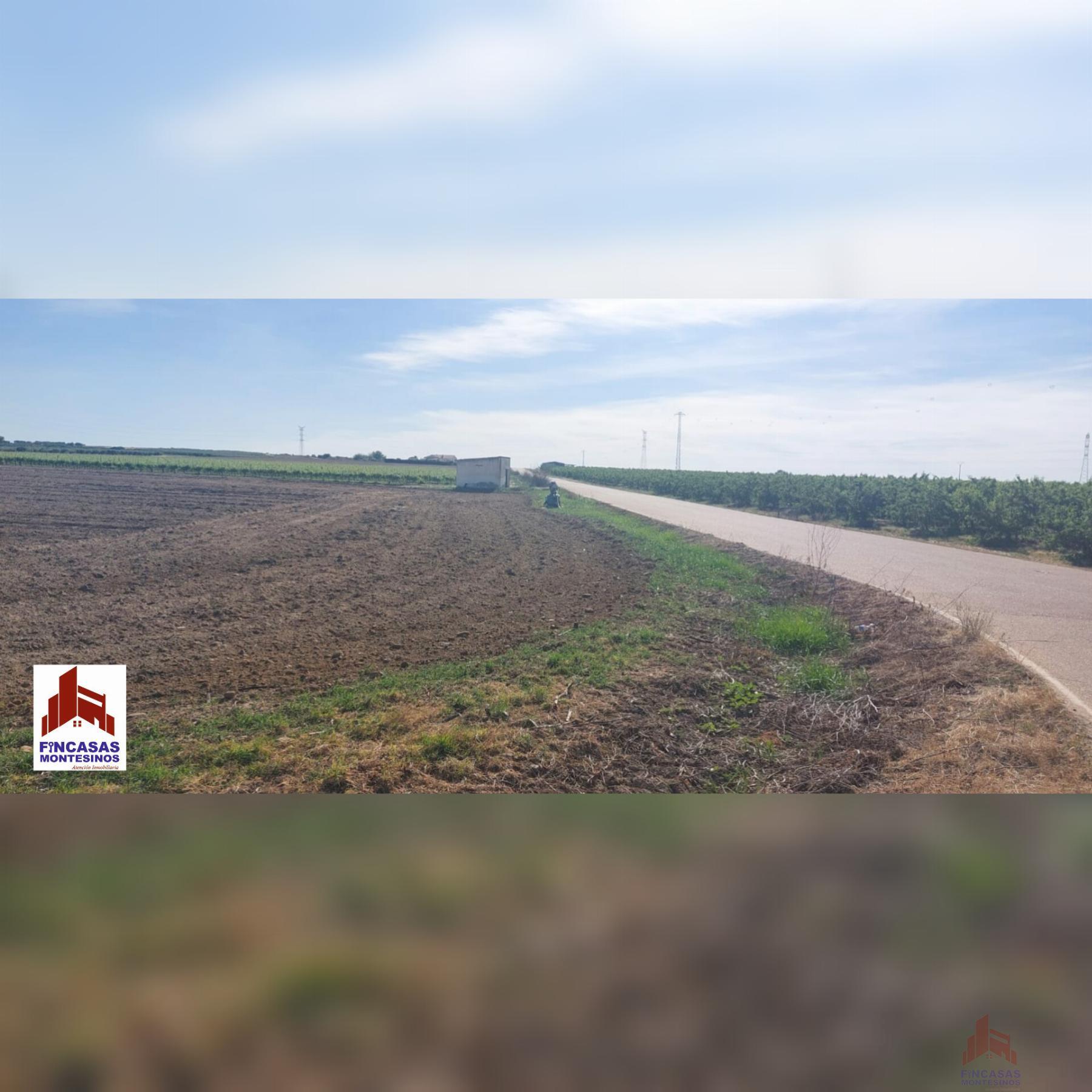 For sale of land in Valdetorres