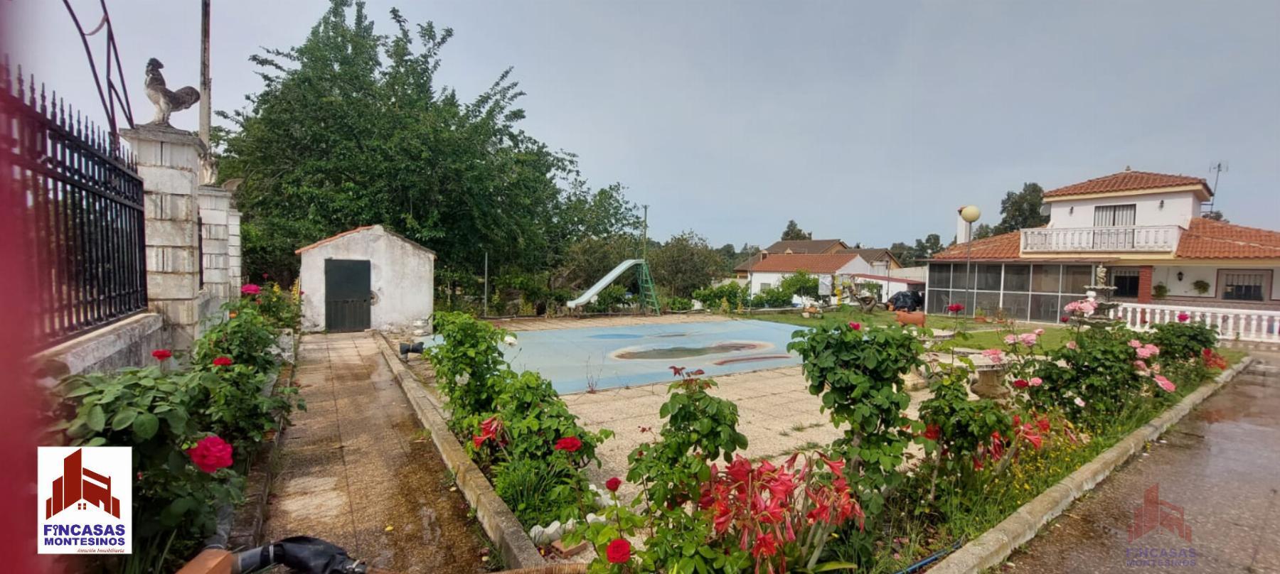 For sale of house in Santa Amalia