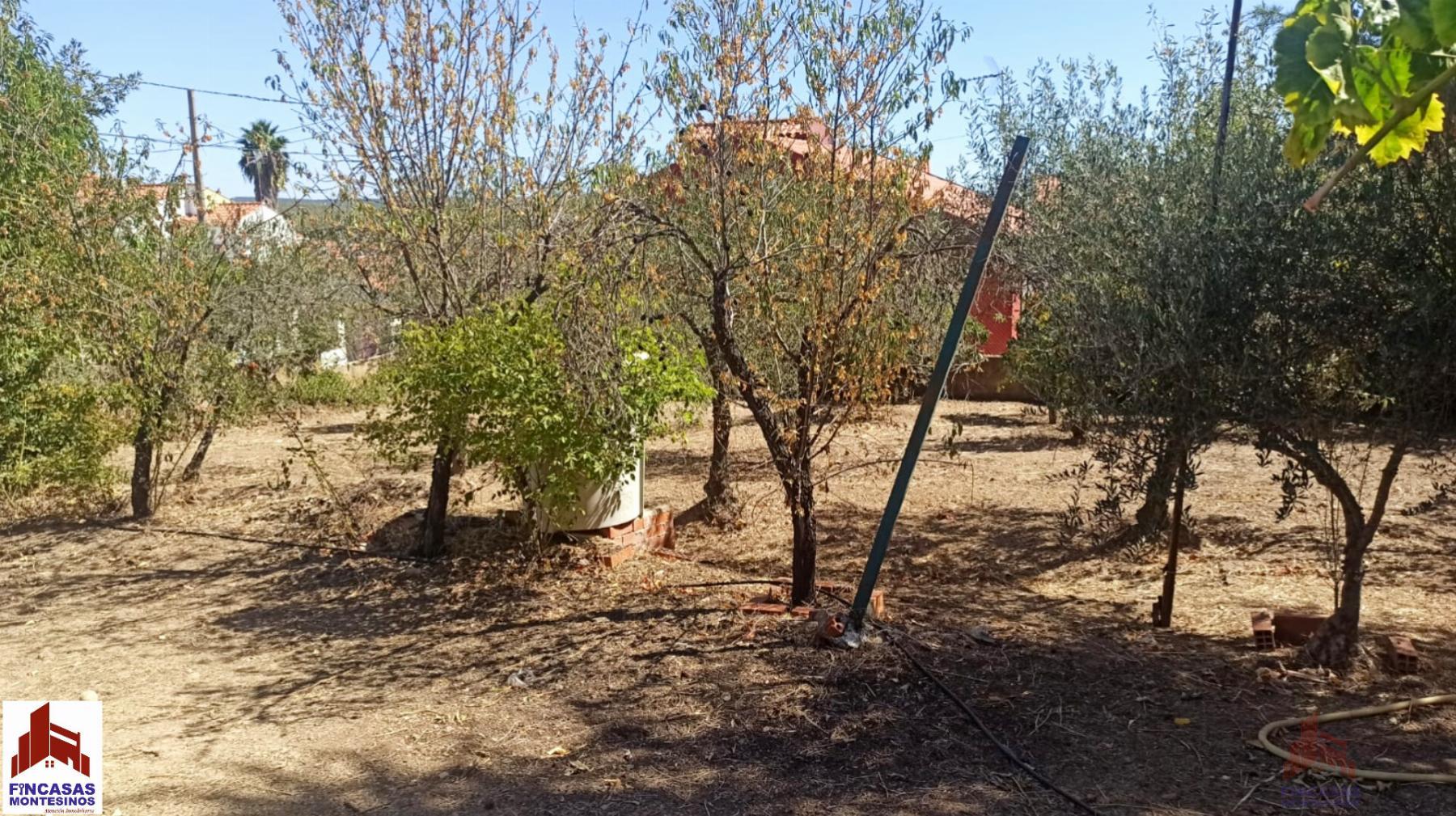 For sale of land in La Codosera