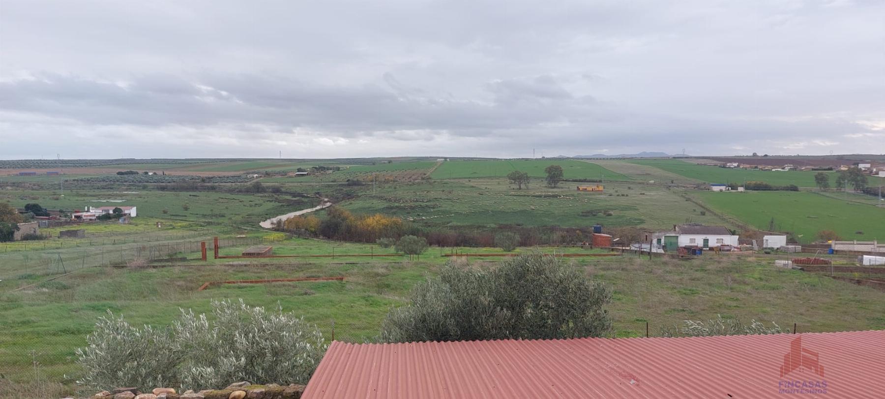 For sale of land in Mérida