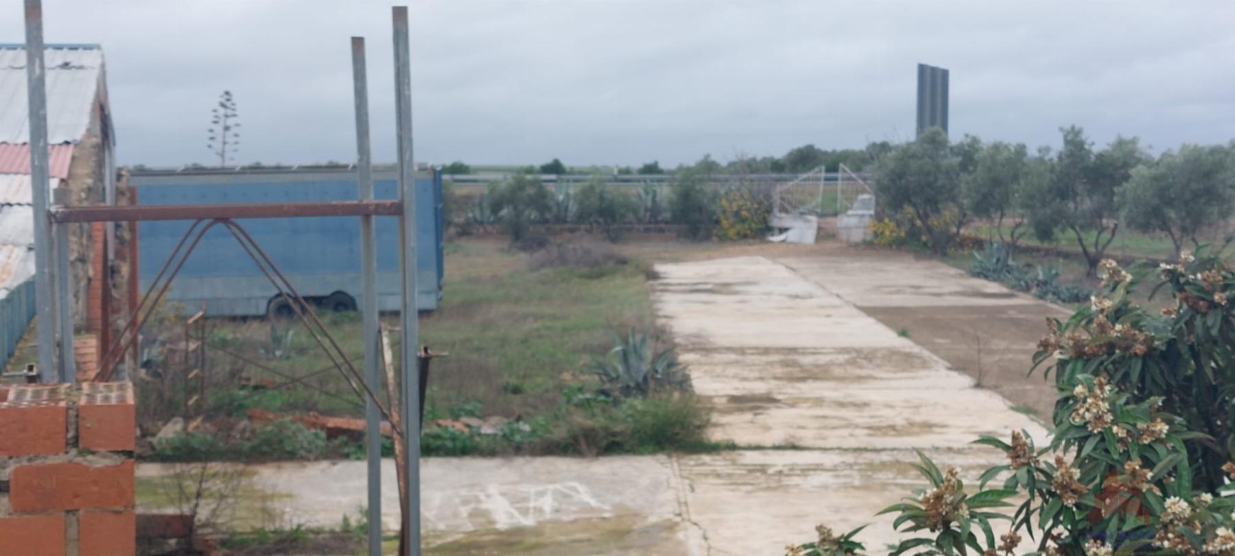 For sale of land in Mérida