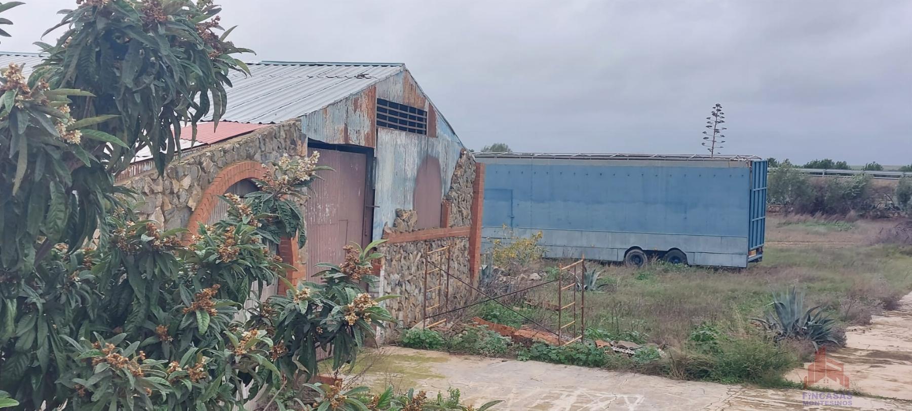 For sale of land in Mérida