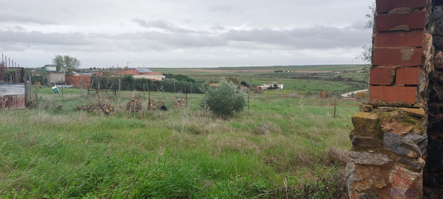 For sale of land in Mérida