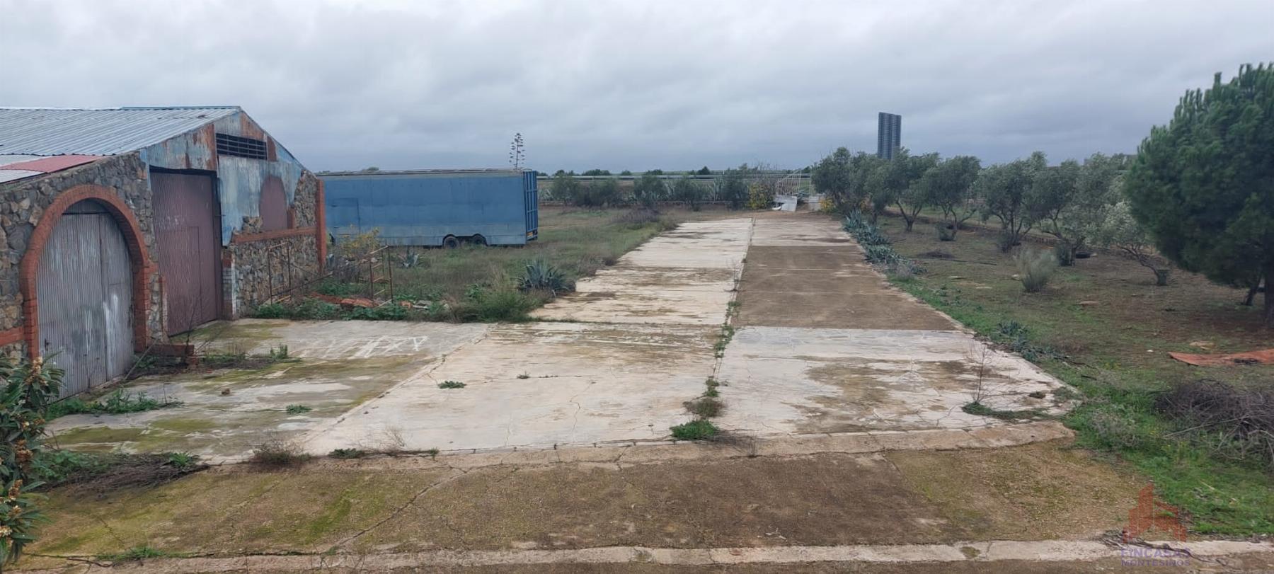 For sale of land in Mérida